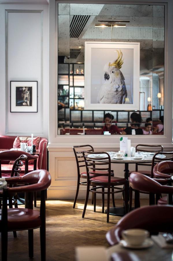 The Marylebone Hotel Londýn Exteriér fotografie Interior of the restaurant